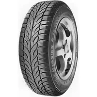 205/55 R16 91T Winter