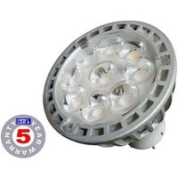 MR16 High Efficiency LED Spot Bulb