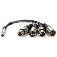 Lemo to XLR Breakout Cable