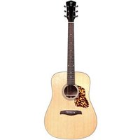 Missouri LD 35 Guitar