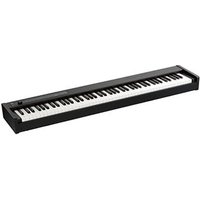 D1 Digital Piano