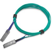 MFA1A00 C005 100GB s Cable