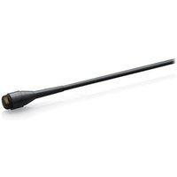 CORE 4060 Omni Mic Normal SPL