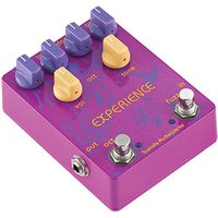 Experience Fuzz Octave