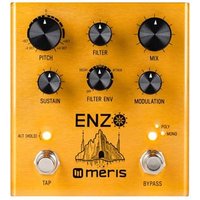 Enzo Voice Synthesizer Pedal