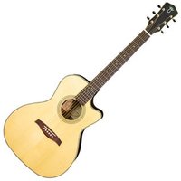 Acoustic LSC 33 MVT
