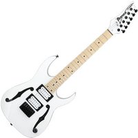 PGMM31 Paul Gilbert MiKro