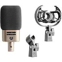 OC818 Large diaphragm Condenser Microphone (Studio Se