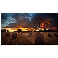 55" VM55B U Full HD Indoor Video Wall Display