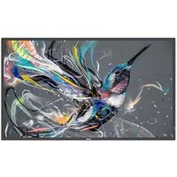 55" 55BDL3511Q 00 4K UHD Slim Signage Panel