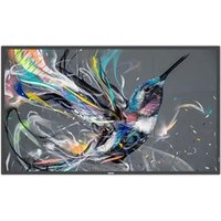 43" 43BDL3511Q 00 4K UHD Slim Signage Panel
