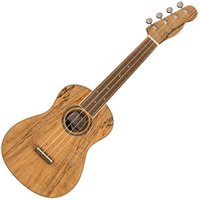 Zuma Exotic Concert Ukulele Walnut Fingerboard Spalted Maple