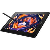 Artist 16