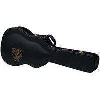 940 EBICS Dobro Case