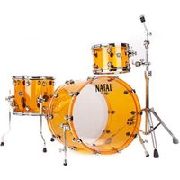 Arcadia Acrylic Shell Pack 12 16 22 Transparent