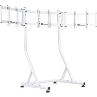 Triple Racing Monitor Stand Snow