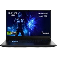 Erazer Defender 17 P1 17.3" Full HD 144Hz Core 7 240H GeForce R