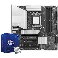 PRO B860M WIFI + Intel Core Ultra 5 225 Bundle