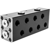 Pro 2CPU 2GPU Acetal Manifold Unit