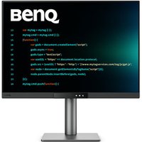 RD280UG 28" 4K+ 120Hz FreeSync IPS Programming Monitor MoonH