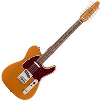 Paranormal Troy Van Leeuwen Telecaster XII