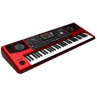 PA700 RD Professional Arranger Keyboard Limit