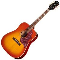 Hummingbird Standard Cherry Sunburst