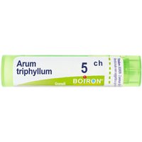 ARUM TRIPHYL BOI*5CH 80GR 4G