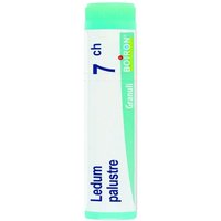 Boiron Ledum Palustre 7CH Rimedio Omeopatico in Globuli, 1g