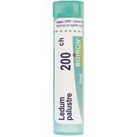Boiron Ledum Palustre 200CH Medicinale Omeopatico, 80 granuli