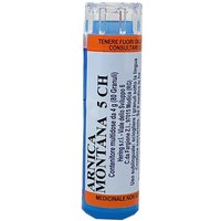 Arnica Montana 5 Ch Granuli 1 Contenitore Multidose In Pp Da 4 G (80 Granuli) Con Tappo Dispensatore In Ps