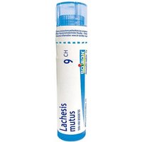 Boiron Lachesis Mutus 9CH Medicinale Omeopatico, 80 Granuli