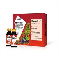 Salus Haus Floradix Integratore Alimentare, 10 Flaconcini Monodose Da 20ml