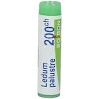 Boiron Ledum Palustre Globuli Omeopatici 200Ch, 1g