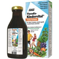 Salus Haus Floradix-Kindervital Fruity Formula per Bambini e Ragazzi, 250ml