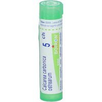 Boiron Calcarea Carbonica Ostrearum 5CH Rimedio Omeopatico, 80 Granuli