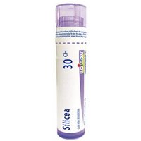 Boiron Silicea Granuli Omeopatici Monodose 30Ch, 1g