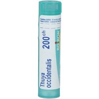 Boiron Thuya Occidentalis Granuli Omeopatici Multidose 200Ch, 80 Granuli