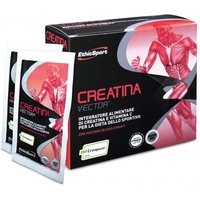 EthicSport Creatina Vector Integratore Alimentare, 20 Bustine