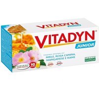 Phyto Garda Vitadyn - Junior Integratore Alimentare, 10 Flaconcini