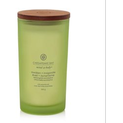 Yankee Candle Awaken & Invigorate - Candela Citronella E Eucalipto Grande, 355G