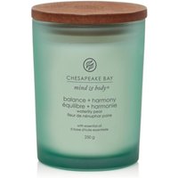 Yankee Candle Balance & Harmony - Candela Profumata Ninfea e Pera Media, 250g