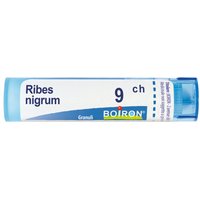 Boiron Ribes Nigrum 9ch Gr