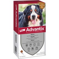 Bayer Advantix Spot-On Antipulci Antipidocchi Cani 40-60 kg, 6 Pipette x 6ml