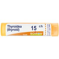 THYROIDEA 15CH GR