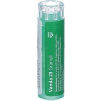 Vanda 23 - Contenitore multidose con granuli Vanda 80gr per uso orale, 4 g