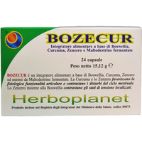 Herboplanet Bozecur - Integratore per la funzionalità articolare e digestiva, 24 capsule
