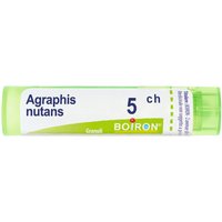 AGRAPHIS NUT BOI*5CH 80GR 4G