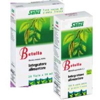 Salus Haus Gmbh & Co Kg Betulla Succo 200ml Bio