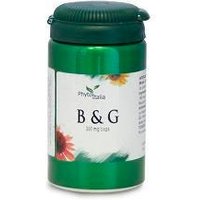 B&G 60CPS